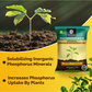 OrganicDews Phosphate Solubilizing Bacteria (PSB) Bio Fertilizer Powder (5×10⁷ CFU/g) for Plants - Improves Phosphorus Availability, Nutrient Uptake, Root Development & Plant Growth