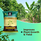 OrganicDews Phosphate Solubilizing Bacteria (PSB) Bio Fertilizer Powder (5×10⁷ CFU/g) for Plants - Improves Phosphorus Availability, Nutrient Uptake, Root Development & Plant Growth