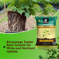 OrganicDews Phosphate Solubilizing Bacteria (PSB) Bio Fertilizer Powder (5×10⁷ CFU/g) for Plants - Improves Phosphorus Availability, Nutrient Uptake, Root Development & Plant Growth