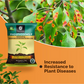 OrganicDews Phosphate Solubilizing Bacteria (PSB) Bio Fertilizer Powder (5×10⁷ CFU/g) for Plants - Improves Phosphorus Availability, Nutrient Uptake, Root Development & Plant Growth