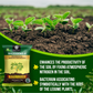 OrganicDews Rhizobium leguminosarum Bio Fertilizer Powder - Nitrogen-Fixing Bacteria (5×10⁷ CFU/g) for Legume Plants - Improves Nitrogen Availability, Root Development, Soil Fertility & Plant Growth - Rhizodews