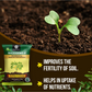 OrganicDews Rhizobium leguminosarum Bio Fertilizer Powder - Nitrogen-Fixing Bacteria (5×10⁷ CFU/g) for Legume Plants - Improves Nitrogen Availability, Root Development, Soil Fertility & Plant Growth - Rhizodews
