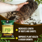 OrganicDews Rhizobium leguminosarum Bio Fertilizer Powder - Nitrogen-Fixing Bacteria (5×10⁷ CFU/g) for Legume Plants - Improves Nitrogen Availability, Root Development, Soil Fertility & Plant Growth - Rhizodews