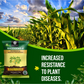 OrganicDews Rhizobium leguminosarum Bio Fertilizer Powder - Nitrogen-Fixing Bacteria (5×10⁷ CFU/g) for Legume Plants - Improves Nitrogen Availability, Root Development, Soil Fertility & Plant Growth - Rhizodews