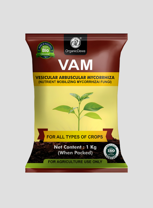 OrganicDews Vesicular Arbuscular Mycorrhiza (VAM) Powder - Nutrient Mobilizing Mycorrhizal Fungi for Plants - Improves Nutrient Uptake, Soil Fertility, Root Growth & Plant Growth - VAM