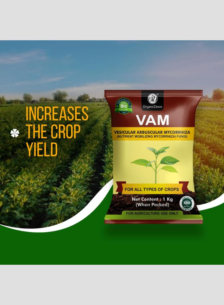OrganicDews Vesicular Arbuscular Mycorrhiza (VAM) Powder - Nutrient Mobilizing Mycorrhizal Fungi for Plants - Improves Nutrient Uptake, Soil Fertility, Root Growth & Plant Growth - VAM