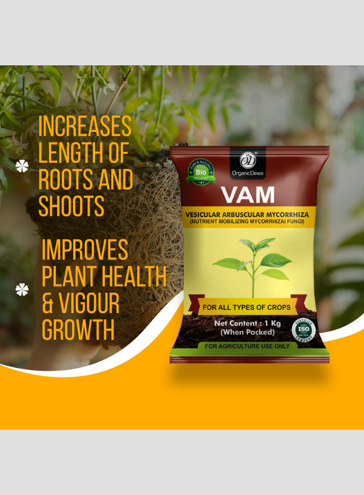OrganicDews Vesicular Arbuscular Mycorrhiza (VAM) Powder - Nutrient Mobilizing Mycorrhizal Fungi for Plants - Improves Nutrient Uptake, Soil Fertility, Root Growth & Plant Growth - VAM