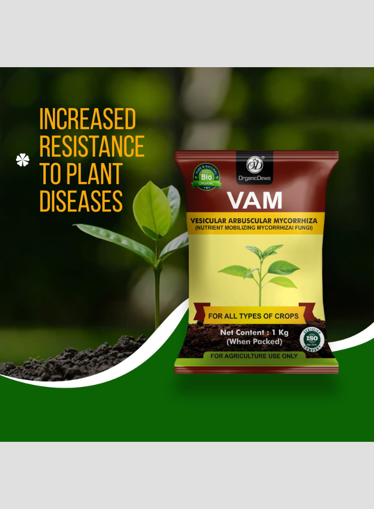 OrganicDews Vesicular Arbuscular Mycorrhiza (VAM) Powder - Nutrient Mobilizing Mycorrhizal Fungi for Plants - Improves Nutrient Uptake, Soil Fertility, Root Growth & Plant Growth - VAM