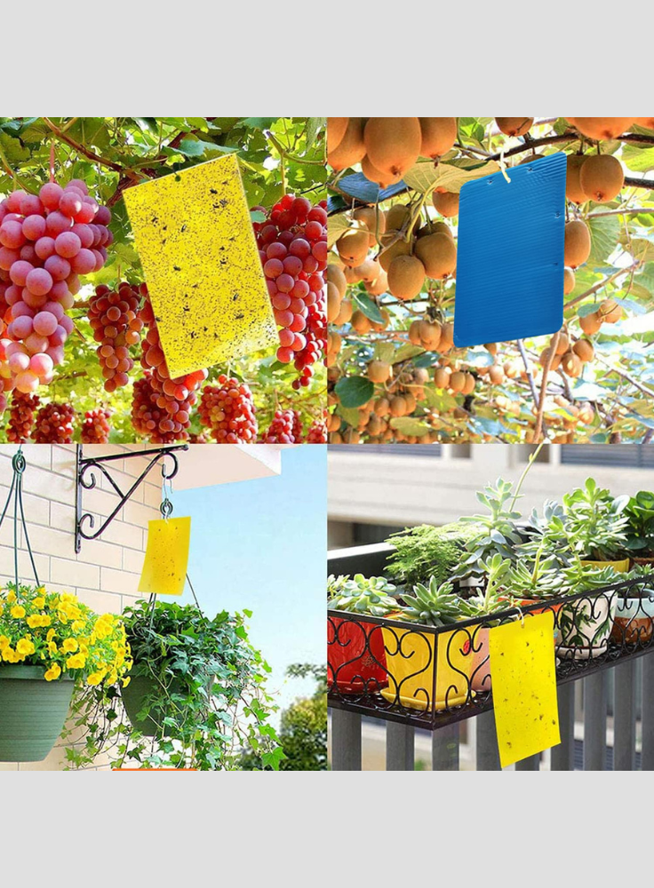 OrganicDews Yellow Double-Sided Sticky Glue Bug Trap (8 x 6 Inches) with Twist Tie – Flying Insect Trap for Gnats, Thrips, Fruit Flies & Other Flying Insects – Indoor & Outdoor Use