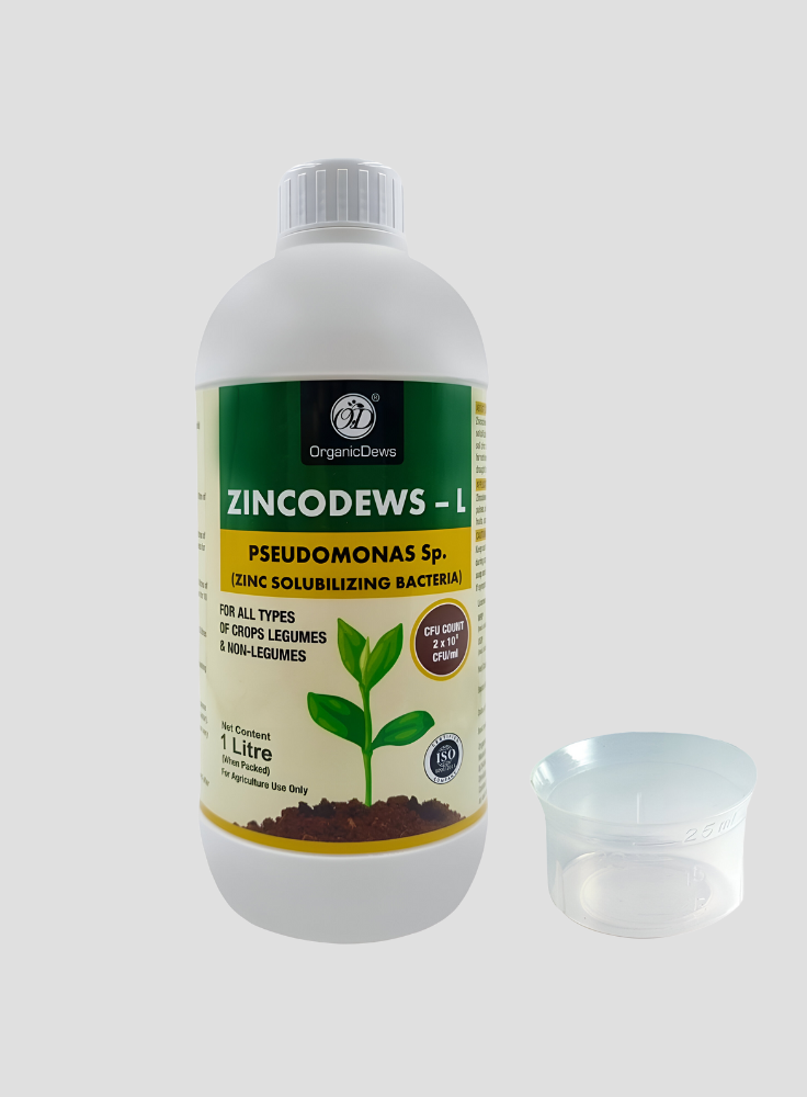 OrganicDews Zinc Solublizing Bacteria (2x10^8 CFU/ML) Bio Inoculum Fertilizer for Plants - Soil Fertility, Faster Plant Growth and Increases the Yield
