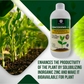 OrganicDews Zinc Solublizing Bacteria (2x10^8 CFU/ML) Bio Inoculum Fertilizer for Plants - Soil Fertility, Faster Plant Growth and Increases the Yield