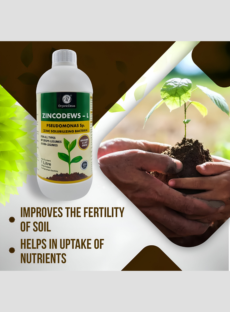 OrganicDews Zinc Solublizing Bacteria (2x10^8 CFU/ML) Bio Inoculum Fertilizer for Plants - Soil Fertility, Faster Plant Growth and Increases the Yield
