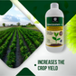 OrganicDews Zinc Solublizing Bacteria (2x10^8 CFU/ML) Bio Inoculum Fertilizer for Plants - Soil Fertility, Faster Plant Growth and Increases the Yield