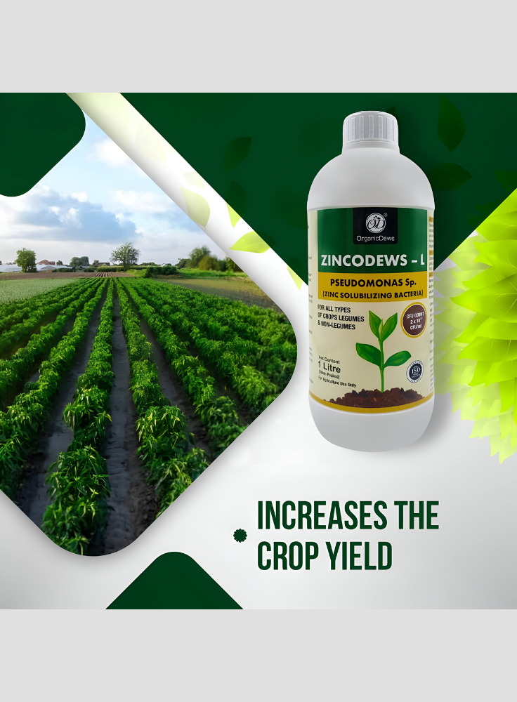OrganicDews Zinc Solublizing Bacteria (2x10^8 CFU/ML) Bio Inoculum Fertilizer for Plants - Soil Fertility, Faster Plant Growth and Increases the Yield