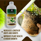 OrganicDews Zinc Solublizing Bacteria (2x10^8 CFU/ML) Bio Inoculum Fertilizer for Plants - Soil Fertility, Faster Plant Growth and Increases the Yield