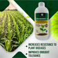 OrganicDews Zinc Solublizing Bacteria (2x10^8 CFU/ML) Bio Inoculum Fertilizer for Plants - Soil Fertility, Faster Plant Growth and Increases the Yield