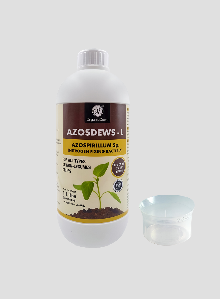 OrganicDews Azospirillum brasilense - Nitrogen Fixing Bacteria (2x10^8 CFU/ML) Bio Fertilizer for Plants - Soil Fertility, Faster Plant Growth and Increases the Yield - Azosdews