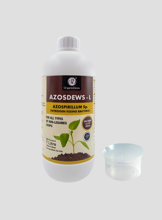 OrganicDews Azospirillum brasilense - Nitrogen Fixing Bacteria (2x10^8 CFU/ML) Bio Fertilizer for Plants - Soil Fertility, Faster Plant Growth and Increases the Yield - Azosdews