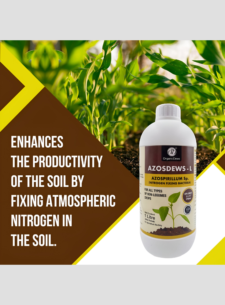 OrganicDews Azospirillum brasilense - Nitrogen Fixing Bacteria (2x10^8 CFU/ML) Bio Fertilizer for Plants - Soil Fertility, Faster Plant Growth and Increases the Yield - Azosdews