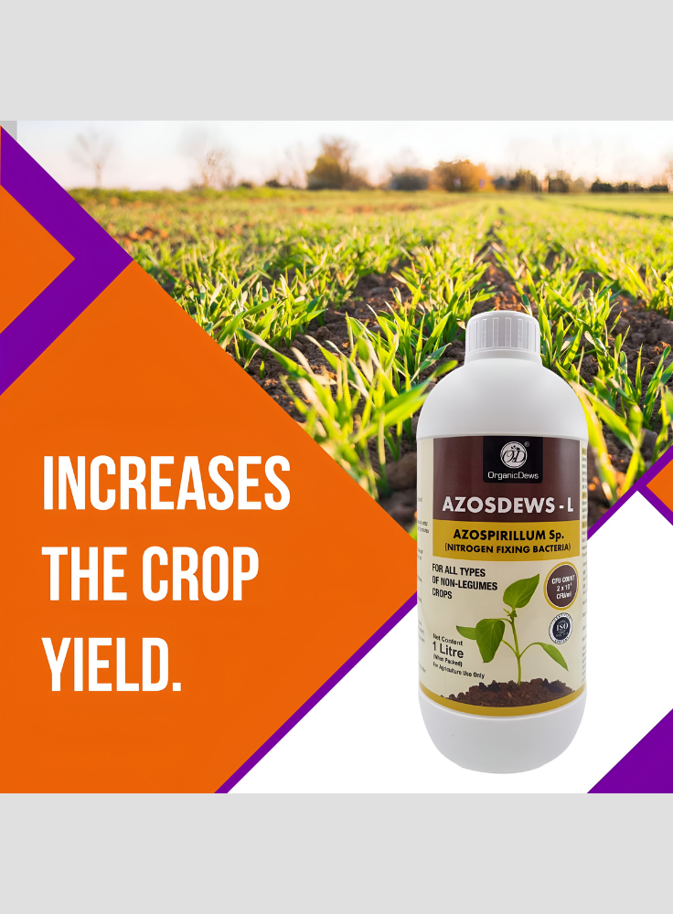 OrganicDews Azospirillum brasilense - Nitrogen Fixing Bacteria (2x10^8 CFU/ML) Bio Fertilizer for Plants - Soil Fertility, Faster Plant Growth and Increases the Yield - Azosdews