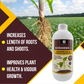 OrganicDews Azospirillum brasilense - Nitrogen Fixing Bacteria (2x10^8 CFU/ML) Bio Fertilizer for Plants - Soil Fertility, Faster Plant Growth and Increases the Yield - Azosdews