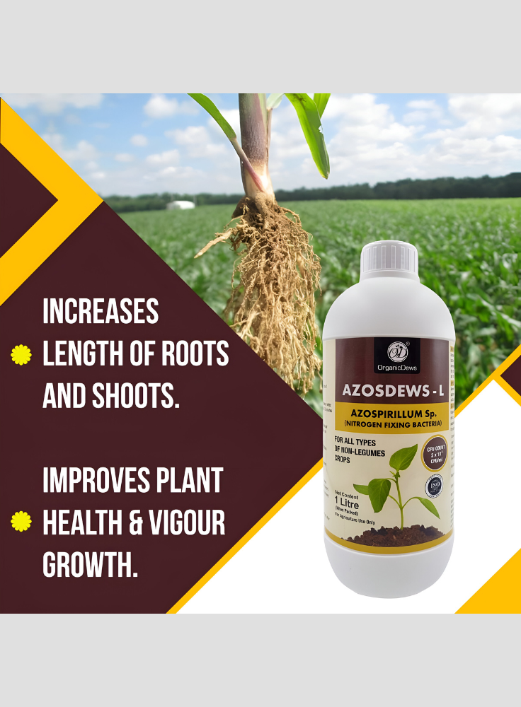 OrganicDews Azospirillum brasilense - Nitrogen Fixing Bacteria (2x10^8 CFU/ML) Bio Fertilizer for Plants - Soil Fertility, Faster Plant Growth and Increases the Yield - Azosdews