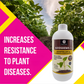 OrganicDews Azospirillum brasilense - Nitrogen Fixing Bacteria (2x10^8 CFU/ML) Bio Fertilizer for Plants - Soil Fertility, Faster Plant Growth and Increases the Yield - Azosdews