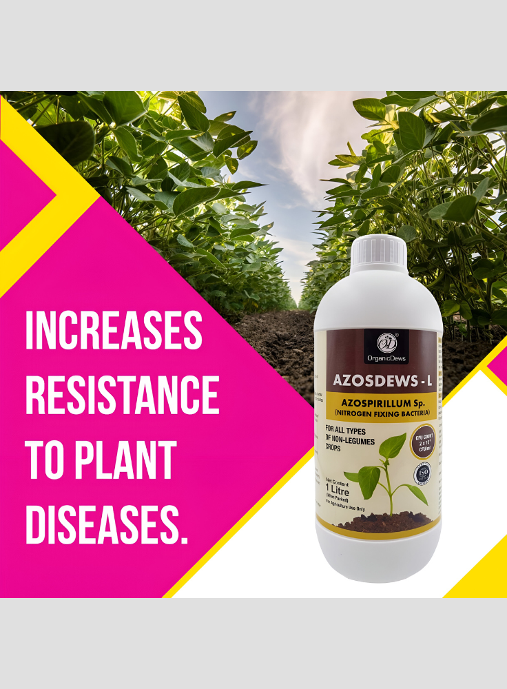 OrganicDews Azospirillum brasilense - Nitrogen Fixing Bacteria (2x10^8 CFU/ML) Bio Fertilizer for Plants - Soil Fertility, Faster Plant Growth and Increases the Yield - Azosdews