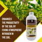 OrganicDews Azospirillum brasilense - Nitrogen Fixing Bacteria (2x10^8 CFU/ML) Bio Fertilizer for Plants - Soil Fertility, Faster Plant Growth and Increases the Yield - Azosdews