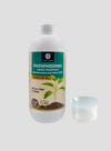 OrganicDews Phosphate Solubilizing Bacteria (PSB) – 2×10⁸ CFU/mL Liquid Bio Inoculant Fertilizer for Plants – Supports Phosphorus Availability, Root Development & Nutrient Uptake – Phosphodews