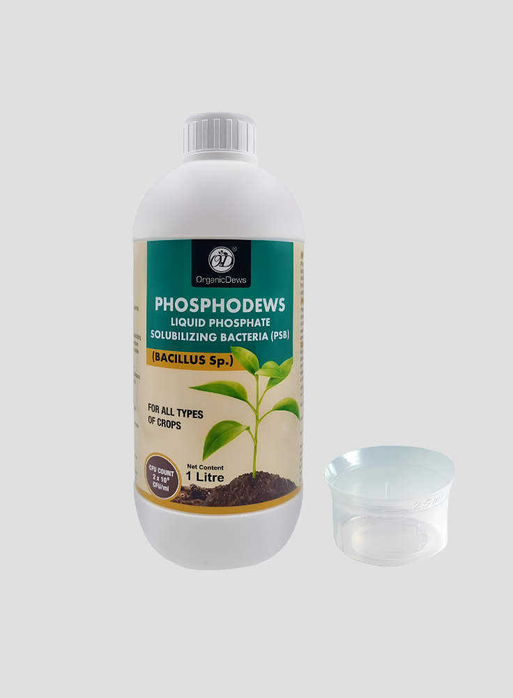 OrganicDews Phosphate Solubilizing Bacteria (PSB) – 2×10⁸ CFU/mL Liquid Bio Inoculant Fertilizer for Plants – Supports Phosphorus Availability, Root Development & Nutrient Uptake – Phosphodews