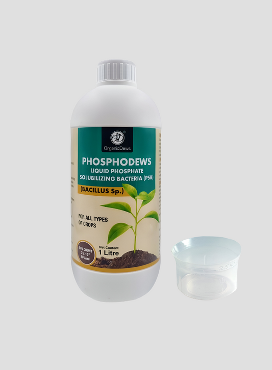 OrganicDews Phosphate Solubilizing Bacteria (PSB) – 2×10⁸ CFU/mL Liquid Bio Inoculant Fertilizer for Plants – Supports Phosphorus Availability, Root Development & Nutrient Uptake – Phosphodews