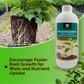 OrganicDews Phosphate Solubilizing Bacteria (PSB) – 2×10⁸ CFU/mL Liquid Bio Inoculant Fertilizer for Plants – Supports Phosphorus Availability, Root Development & Nutrient Uptake – Phosphodews