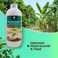 OrganicDews Phosphate Solubilizing Bacteria (PSB) – 2×10⁸ CFU/mL Liquid Bio Inoculant Fertilizer for Plants – Supports Phosphorus Availability, Root Development & Nutrient Uptake – Phosphodews