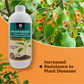 OrganicDews Phosphate Solubilizing Bacteria (PSB) – 2×10⁸ CFU/mL Liquid Bio Inoculant Fertilizer for Plants – Supports Phosphorus Availability, Root Development & Nutrient Uptake – Phosphodews