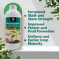OrganicDews Phosphate Solubilizing Bacteria (PSB) – 2×10⁸ CFU/mL Liquid Bio Inoculant Fertilizer for Plants – Supports Phosphorus Availability, Root Development & Nutrient Uptake – Phosphodews