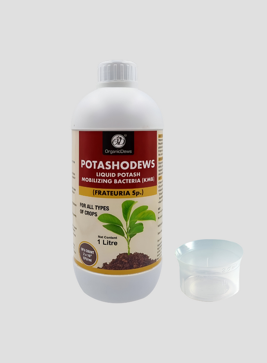 OrganicDews Potassium Mobilizing Bacteria (KMB) – 2×10⁸ CFU/mL Liquid Bio Inoculant Fertilizer for Plants – Supports Potassium Availability, Root Growth, Flowering & Fruit Quality – Potashodews