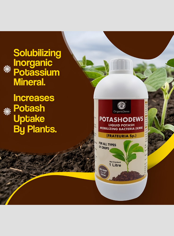 OrganicDews Potassium Mobilizing Bacteria (KMB) – 2×10⁸ CFU/mL Liquid Bio Inoculant Fertilizer for Plants – Supports Potassium Availability, Root Growth, Flowering & Fruit Quality – Potashodews