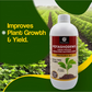 OrganicDews Potassium Mobilizing Bacteria (KMB) – 2×10⁸ CFU/mL Liquid Bio Inoculant Fertilizer for Plants – Supports Potassium Availability, Root Growth, Flowering & Fruit Quality – Potashodews