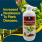 OrganicDews Potassium Mobilizing Bacteria (KMB) – 2×10⁸ CFU/mL Liquid Bio Inoculant Fertilizer for Plants – Supports Potassium Availability, Root Growth, Flowering & Fruit Quality – Potashodews