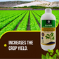 OrganicDews Bio NPK Consortia (5 × 10⁸ CFU/ml) | Bio-Inoculum Fertilizer for Plants | 1 Litre | Improves Soil Fertility & Supports Plant Growth and Yield