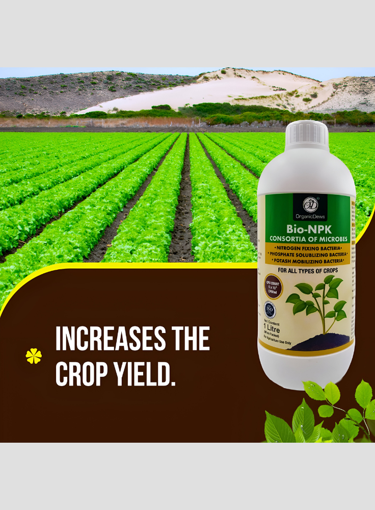 OrganicDews Bio NPK Consortia (5 × 10⁸ CFU/ml) | Bio-Inoculum Fertilizer for Plants | 1 Litre | Improves Soil Fertility & Supports Plant Growth and Yield