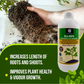 OrganicDews Bio NPK Consortia (5 × 10⁸ CFU/ml) | Bio-Inoculum Fertilizer for Plants | 1 Litre | Improves Soil Fertility & Supports Plant Growth and Yield