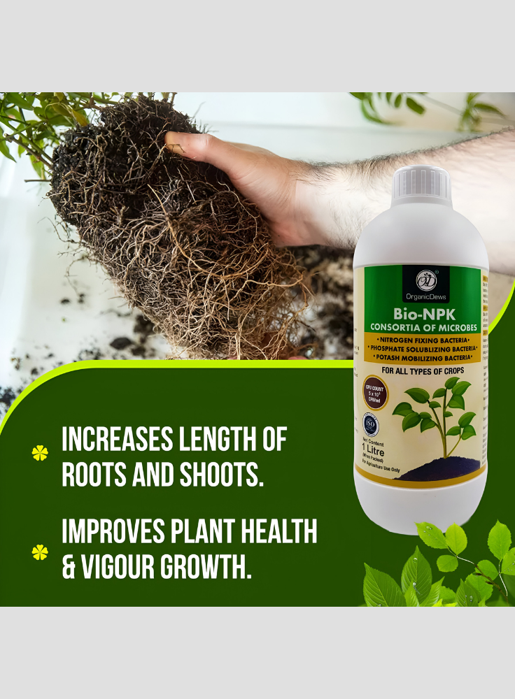 OrganicDews Bio NPK Consortia (5 × 10⁸ CFU/ml) | Bio-Inoculum Fertilizer for Plants | 1 Litre | Improves Soil Fertility & Supports Plant Growth and Yield