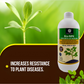 OrganicDews Bio NPK Consortia (5 × 10⁸ CFU/ml) | Bio-Inoculum Fertilizer for Plants | 1 Litre | Improves Soil Fertility & Supports Plant Growth and Yield