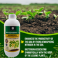 OrganicDews Rhizobium leguminosarum – Nitrogen Fixing Bacteria (2×10⁸ CFU/mL) Liquid Bio Inoculant Fertilizer for Legume Plants – Supports Root Development, Soil Fertility & Plant Growth – Rhizodews