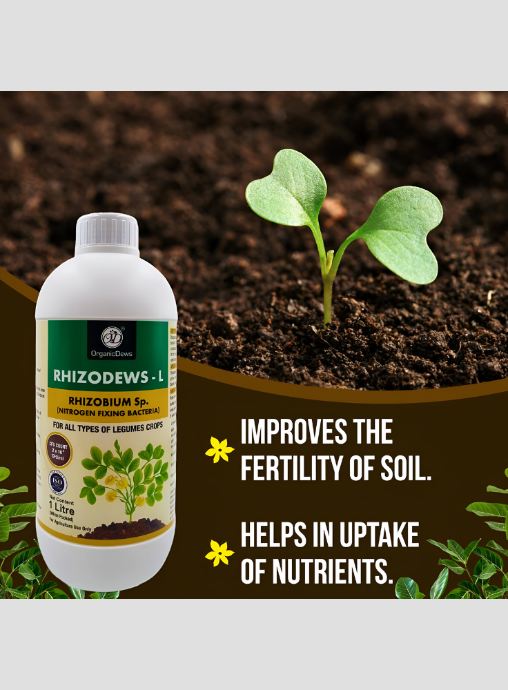 OrganicDews Rhizobium leguminosarum – Nitrogen Fixing Bacteria (2×10⁸ CFU/mL) Liquid Bio Inoculant Fertilizer for Legume Plants – Supports Root Development, Soil Fertility & Plant Growth – Rhizodews