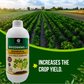 OrganicDews Rhizobium leguminosarum – Nitrogen Fixing Bacteria (2×10⁸ CFU/mL) Liquid Bio Inoculant Fertilizer for Legume Plants – Supports Root Development, Soil Fertility & Plant Growth – Rhizodews