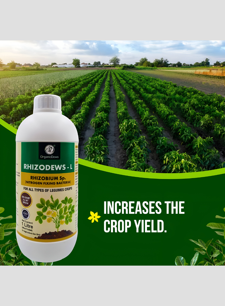 OrganicDews Rhizobium leguminosarum – Nitrogen Fixing Bacteria (2×10⁸ CFU/mL) Liquid Bio Inoculant Fertilizer for Legume Plants – Supports Root Development, Soil Fertility & Plant Growth – Rhizodews