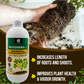 OrganicDews Rhizobium leguminosarum – Nitrogen Fixing Bacteria (2×10⁸ CFU/mL) Liquid Bio Inoculant Fertilizer for Legume Plants – Supports Root Development, Soil Fertility & Plant Growth – Rhizodews